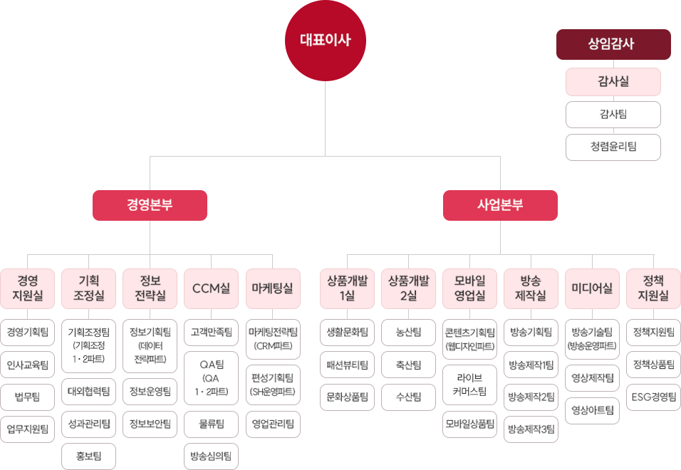 대표이사, 상임감사(감사실, 감사팀, 청렴윤리팀), 경영본부-경영지원실(경영기획팀, 인사교육팀, 법무팀, 업무지원팀),경영본부-기획조정실(기획조정팀(기획조정1,2파트),대외협력팀,성과관리팀,홍보팀),경영본부-정보전략실(정보기획팀(데이터전략파트),정보운영팀,정보보안팀),경영본부-CCM실(고객만족팀, QA팀(QA1,2파트),물류팀, 방송심의팀),경영본부-마케팅실(마케팅전략팀(CRM파트),편성기획팀(SH운영파트),영업관리팀), 사업본부-상품개발1실(생활문화팀, 패션뷰티팀, 문화상품팀),사업본부-상품개발2실(농산팀, 축산팀, 수산팀),사업본부-모바일영업실(콘텐츠기획팀(웹디자인파트),라이브커머스팀,모바일상품팀),사업본부-방송제작실(방송기획팀, 방송제작1팀, 방송제작 2팀, 방송제작 3팀),사업본부-미디어실(방송기술팀(방송운영파트),영상제작팀, 영상아트팀),사업본부-정책지원실(정책지원팀, 정책상품팀, ESG경영팀)