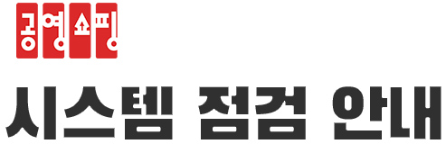 시스템 점검 안내